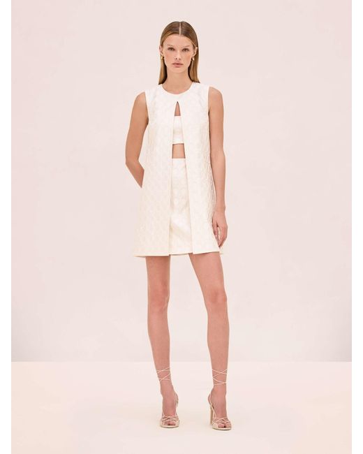 Alexis Pink Asha Dress