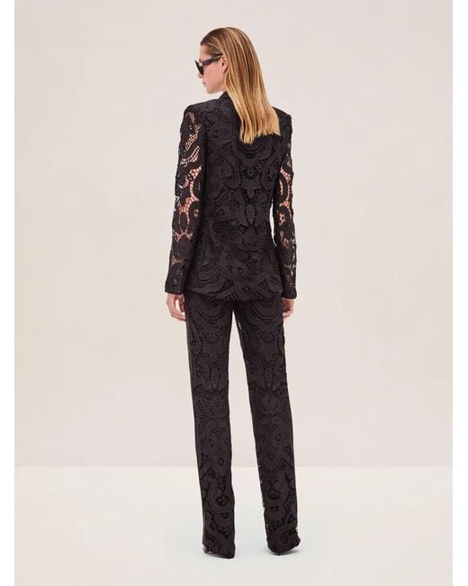 Alexis Natural Pierre Pant