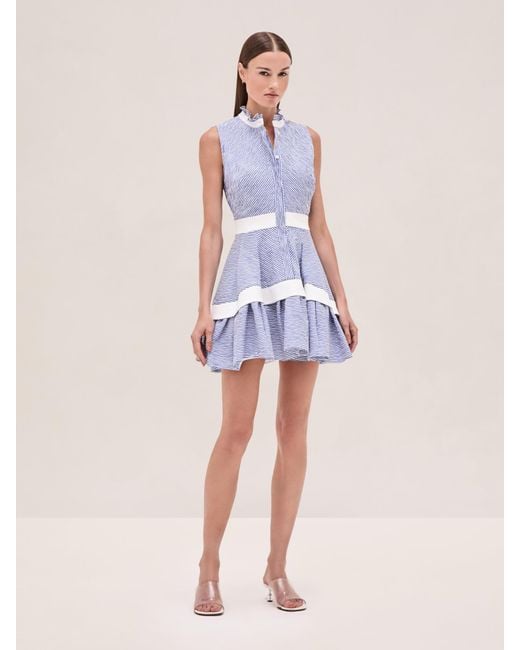 Alexis Multicolor Natacha Dress