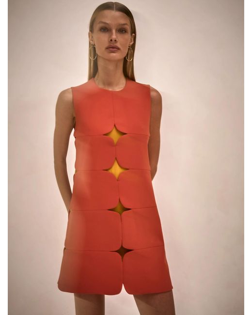 Alexis Pink Winnie Dress