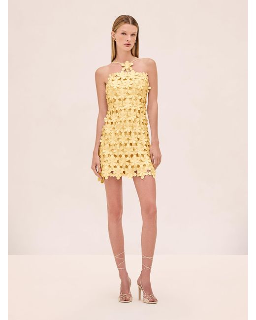 Alexis Natural Lily Dress