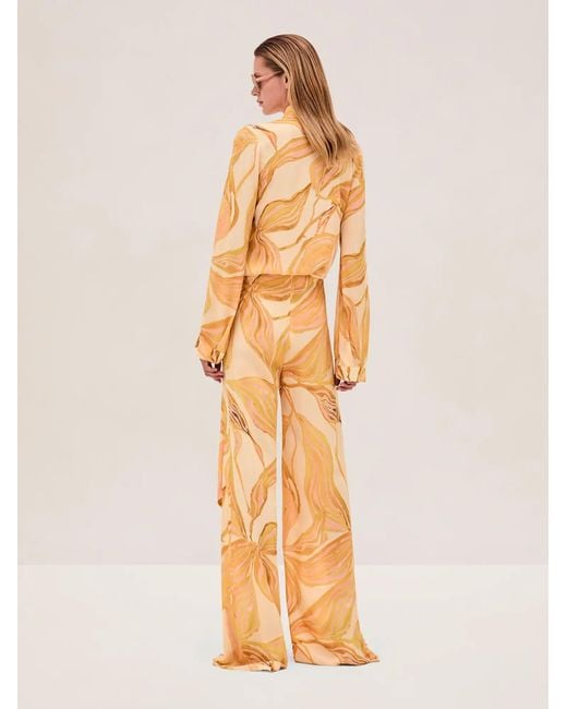 Alexis Natural Cypher Pant