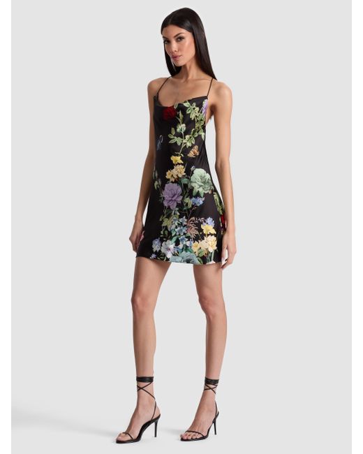 Alice + Olivia Black Harmony Cowl Back Slip Dress