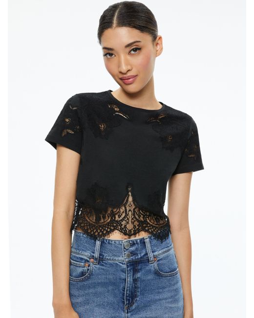 Alice + Olivia Black Stephen Lace Detail Cropped Tee