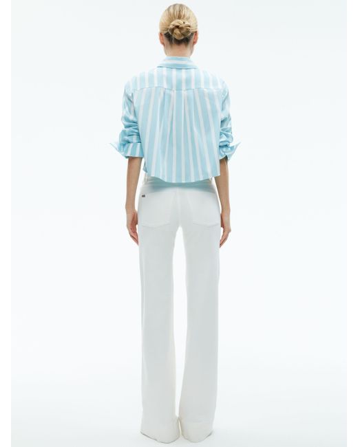 Alice + Olivia Blue Finely Cropped Oversized Button Down Shirt