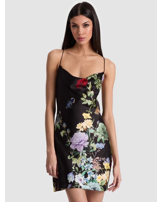 Alice + Olivia Black Harmony Cowl Back Slip Dress