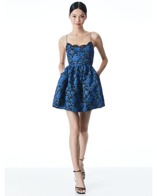 alice and olivia kendra dress