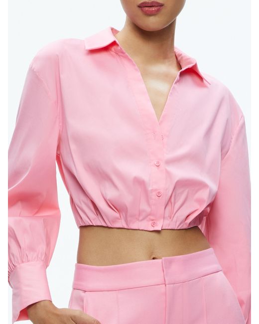 Alice + Olivia Pink Trudy Cropped Button Down