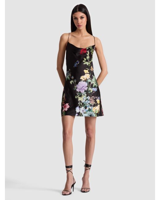 Alice + Olivia Black Harmony Cowl Back Slip Dress