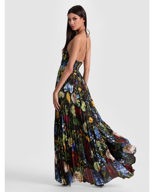 knee length dresses for ladies Alice + Olivia Delora Renaissance Fresco Maxi Dress  Audrey's of Naples