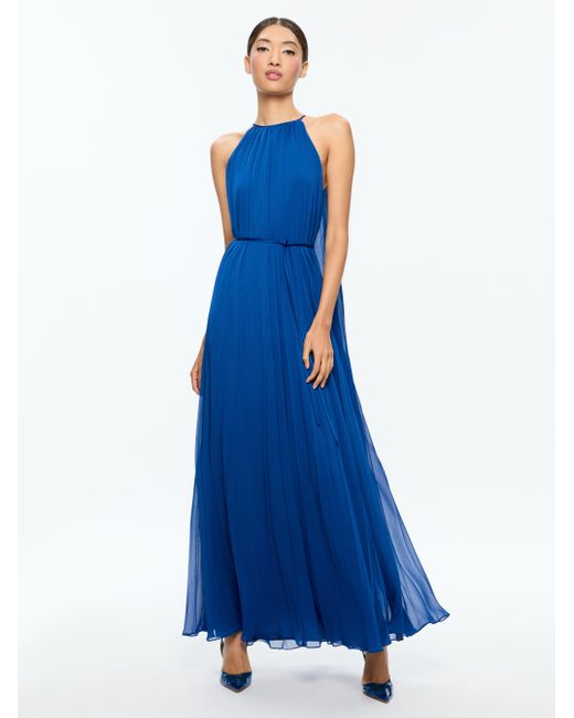 Alice + Olivia Blue and White Maxi with Zipper Back- Size XS Alice & Olivia Maxi dress - Gem Alice + Olivia Blue and White Maxi with Zipper Back- Size XS Alice & Olivia Maxi dress - Gem