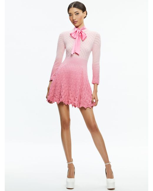 Alice + Olivia Pink Gin Pointelle Lace Knit Dress With Bow
