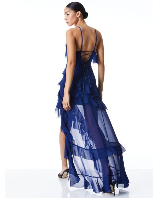 Alice and olivia blue lace dress 2025