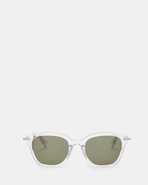 AllSaints Green Valensi Panto Shape Sunglasses for men