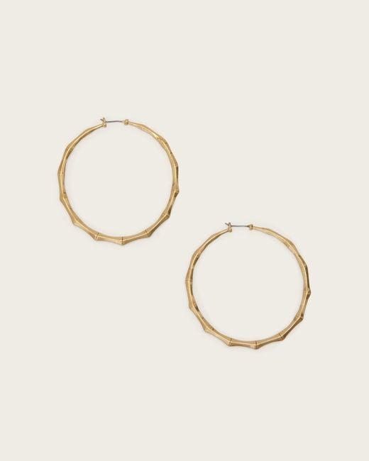 AllSaints Natural Clara Large Hoop Earrings