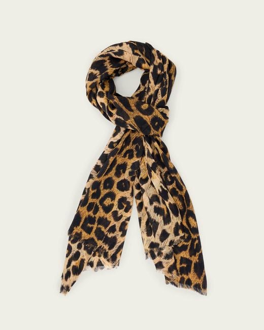 AllSaints Natural Leia Leopard Print Cotton Scarf