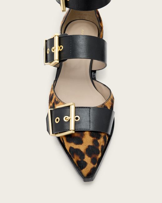 AllSaints Natural Sutton Leopard Print Pointed Toe Shoes