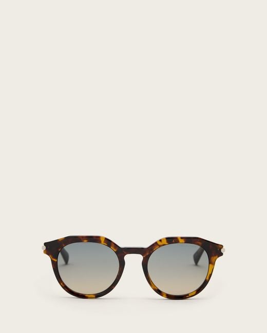 AllSaints Natural Van Panto Framed Sunglasses for men