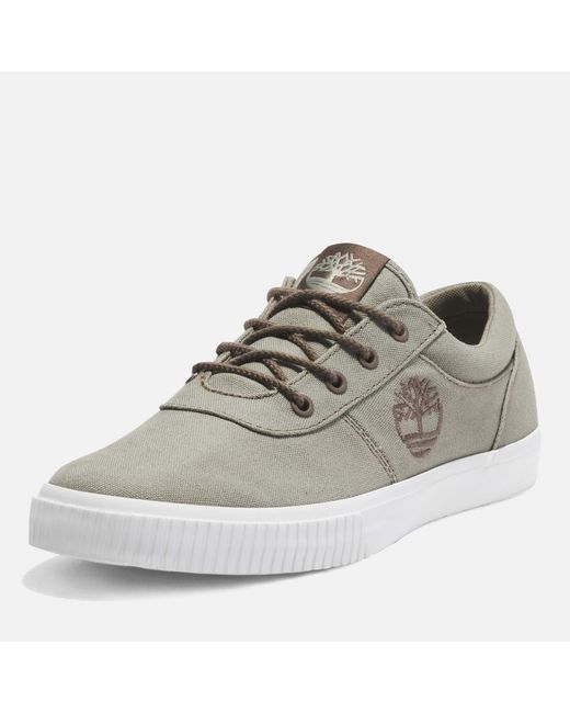 Timberland Gray Mylo Bay Trainer for men