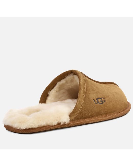 Ugg Brown Scuff Suede Sheepskin Slippers for men