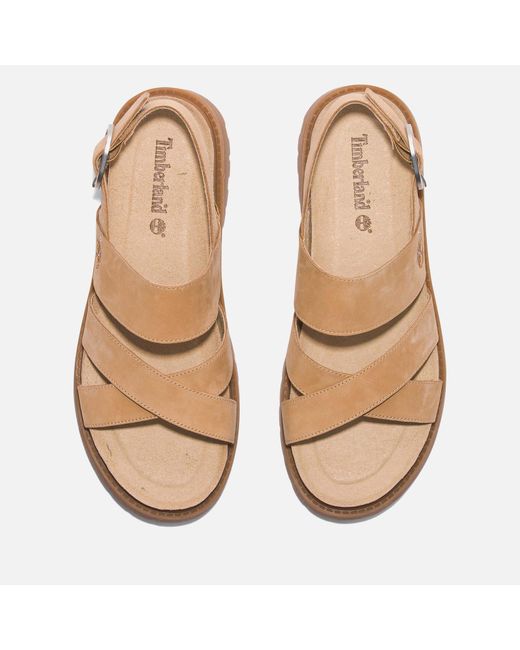 Timberland Brown Clairemont Way Leather Sandals