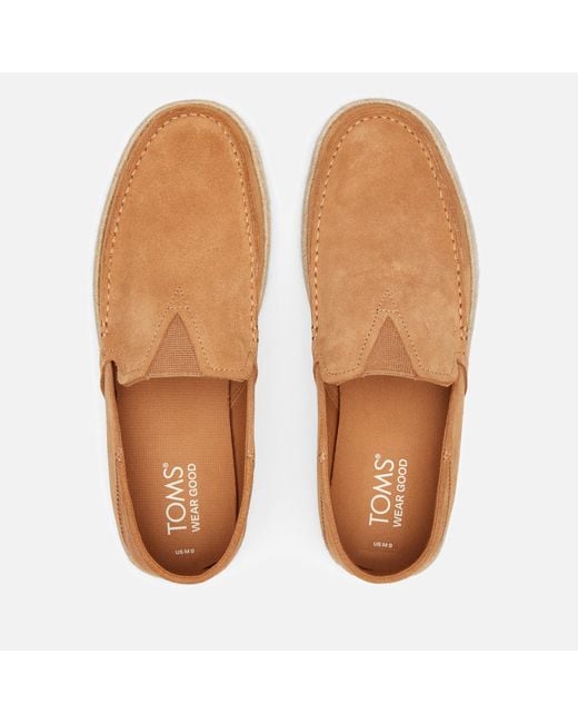 TOMS Brown Alonso Suede Loafers for men