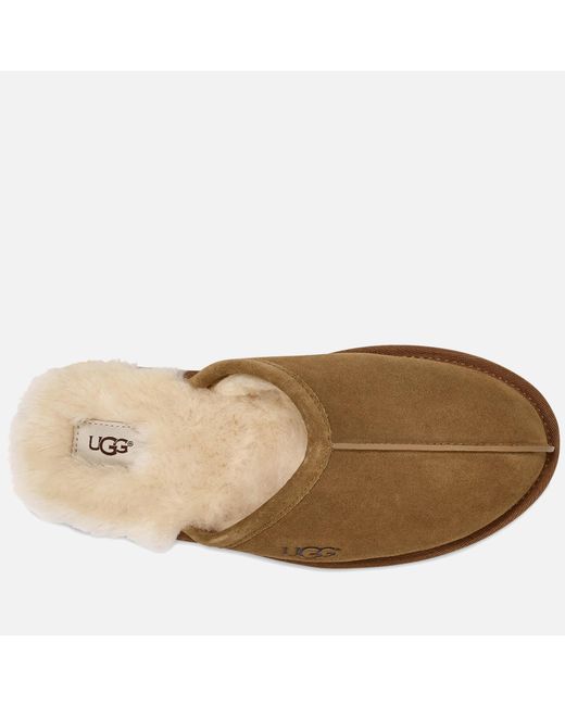 Ugg Brown Scuff Suede Sheepskin Slippers for men