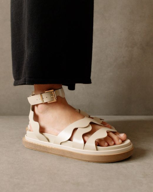 alohas brown sandals