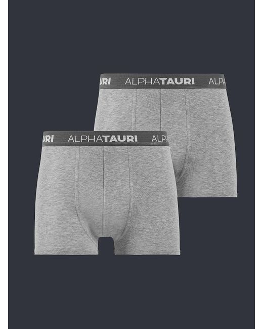 ALPHATAURI Zweierpack Boxershorts mit SILVERPLUS® in Gray für Herren