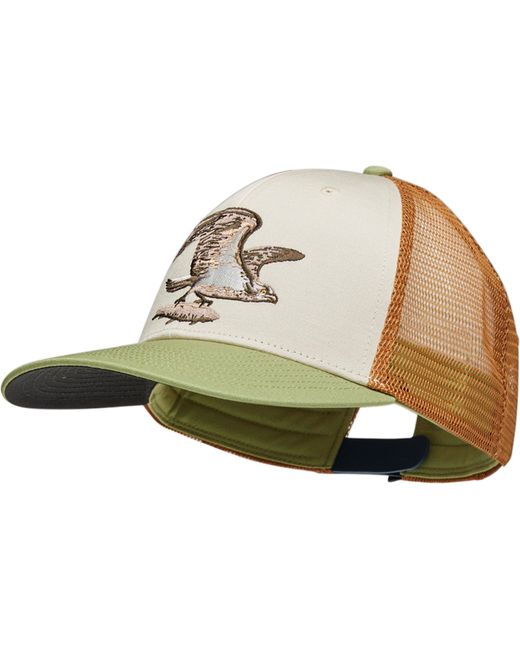 Patagonia Green Take A Stand Trucker Hat