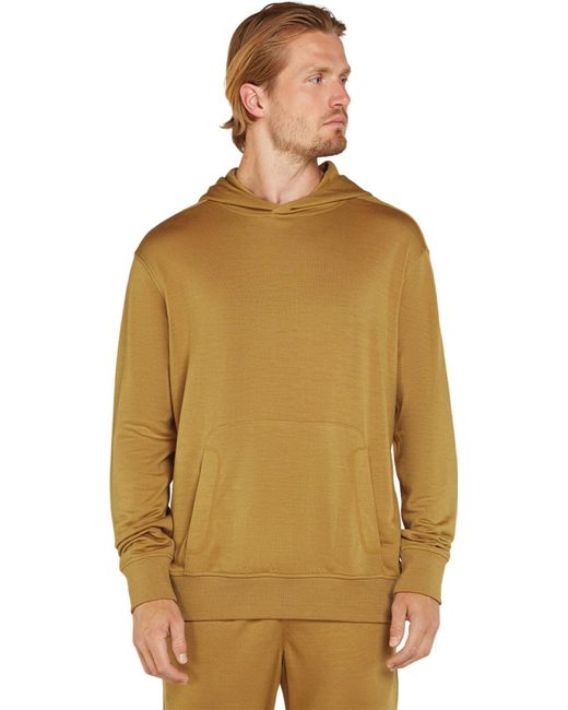 Icebreaker men's shifter hoodie hot sale