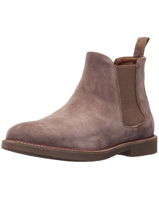 highlyte steve madden