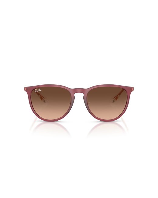 Ray-Ban Black Rb4171f Erika Low Bridge Fit Round Sunglasses