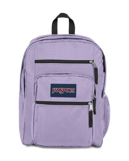 Jansport Purple Computer Bag With 2