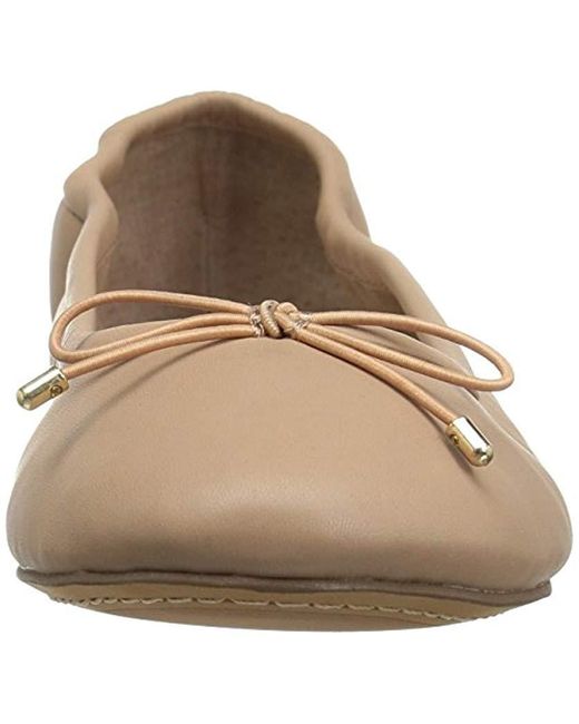 amazon 206 collective