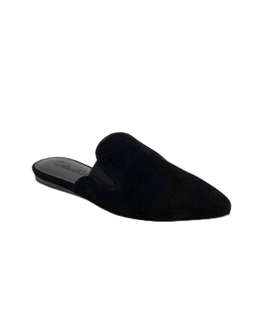 Splendid Black Liza Mule