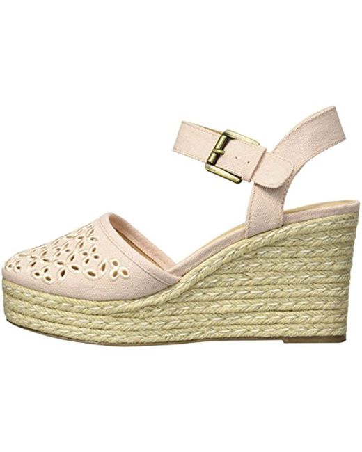 skechers turtledove beige