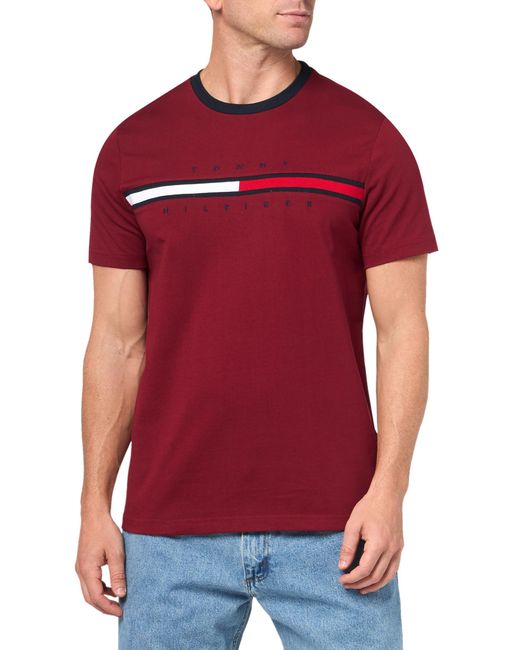 Tommy Hilfiger Red Short Sleeve Signature Stripe Graphic T-shirt for men