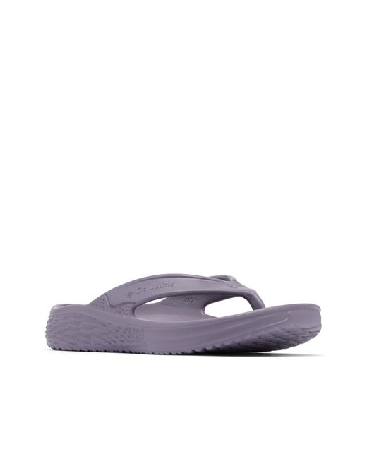 Columbia Purple Ramble Flip