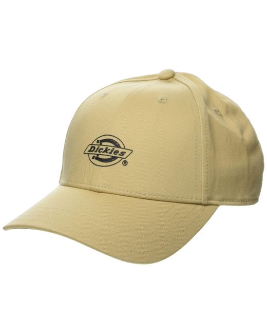 Dickies Low Pro Logo Print Cap Hut in Metallic für Herren