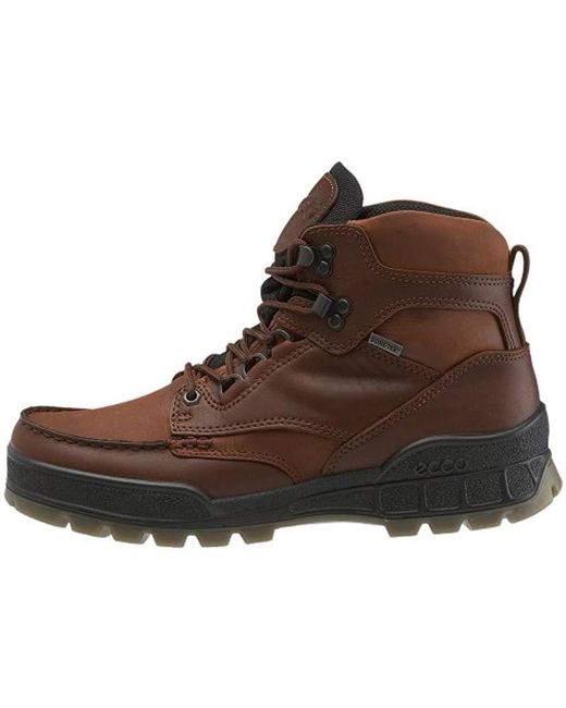 Ecco Leather Track Ii High Gore-tex Waterproof Outdoor Hiking Boot in ...