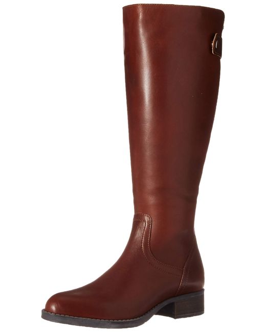 steve madden journal knee high boot