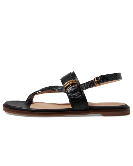 Cole Haan Black Anica Lux Buckle Sandals Flat