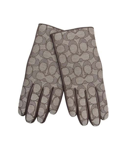COACH Gray Signature C Leather Tech Glove