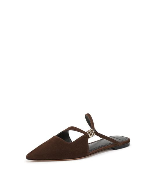 Vince Brown Gilia Flats