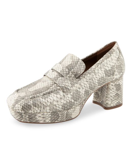 Aerosoles Multicolor Cavour Loafer