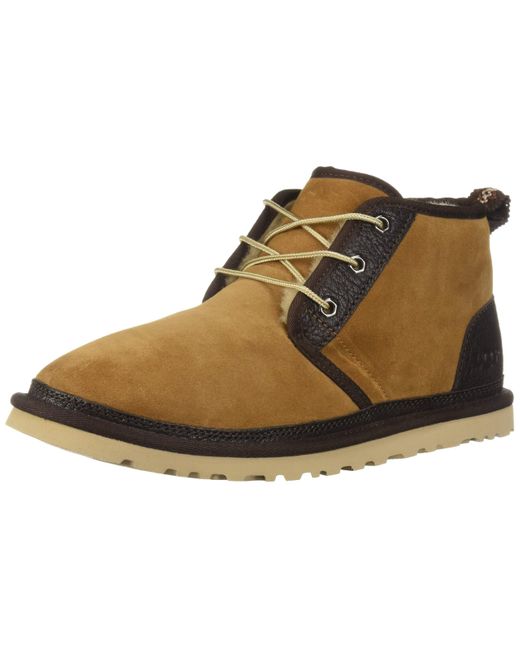 men uggs chestnut