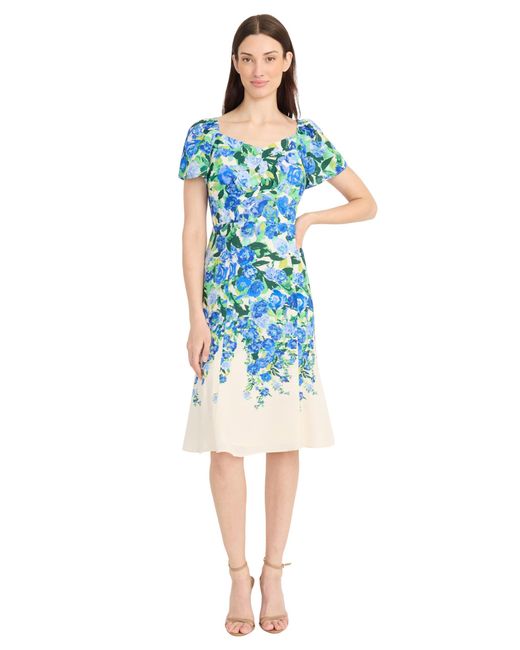 Maggy London Women's Blue Dresses Sweetheart Neckline Floral Dress Pretty  Garden Dresses Wedding Guest Dresses For