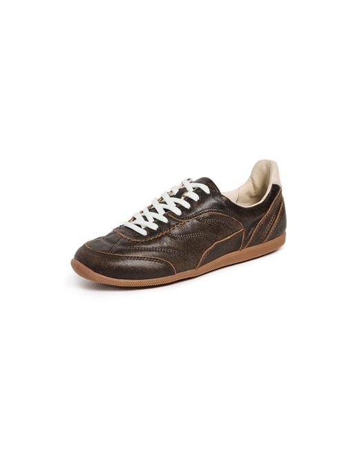 Dolce Vita Brown Laini Sneaker