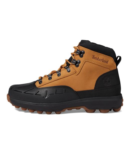 Timberland Converge Wp Mid Shell Toe Hiking Boot in Black for Men | Lyst